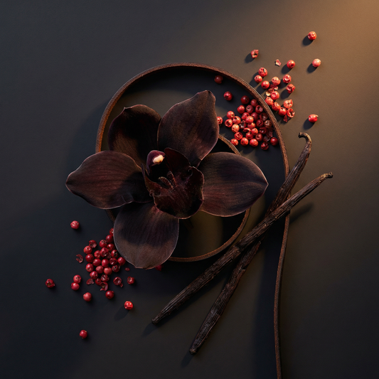 The Snug | Limited Edition luxury Wax Melts